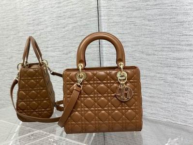 DIOR Handbags 1004